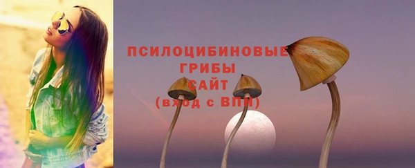тгк Зеленодольск