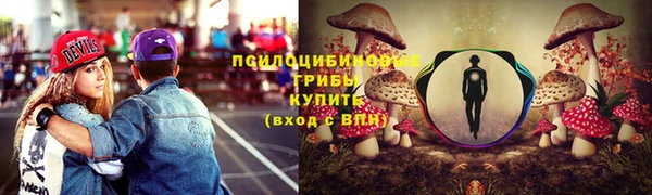 тгк Зеленодольск